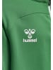 Hummel Halbreißverschluss Sweatshirt Hmllead Kinder in JELLY BEAN