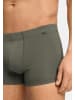 Hanro Retro Short / Pant Cotton Essentials in Charcoal art / smokey olive