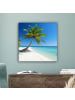 MuchoWow Leinwand bilder Palme (BxH)