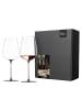 Eisch 2er Set Allroundgläser Inspire SensisPlus 740 ml in Grey