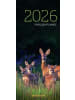 Kosmos Kalender - WILD UND HUND Edition: Familienplaner 2026