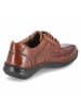 Josef Seibel Halbschuhe NEW ANVERS 08 in braun