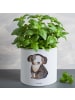 Mr. & Mrs. Panda Blumentopf Groß Hund Entspannen ohne Spruch in Weiß