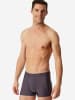 Schiesser Trunk Pure Micro in graphit