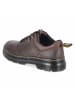 Dr. Martens Schnürhalbschuh in braun