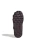 adidas Outddorschuh TERREX SNOW CF R.RDY in shamar/mapume/wonred