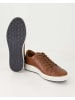 Josef Seibel Sneaker low in Braun