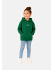 name it Hoodie 'Brody' in grün