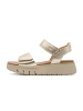 Tamaris Sneakers Low 8-88720-44 in goldfarben
