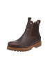 PANAMA JACK Chelsea-Boots Burton Igloo in Braun