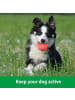 Intirilife Hunde Gummiball 7cm in KNALL ROT