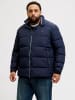 JACK & JONES PLUS Steppjacke in Navy Blazer