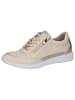 Caprice Sneaker in CREAM/GOLD