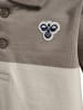 Hummel Polo Hmlmini Kinder in ROCK RIDGE