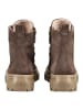 Paul Green Stiefelette in Braun