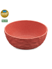 koziol CLUB BOWL * - Schale 700ml in nature coral