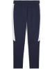 Puma Sporthose "TeamEVOSTRIPE Pants" in Blau