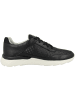 Geox Sneaker low D Hiver B in schwarz