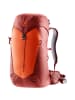 Deuter AC Lite 30 in Orange505