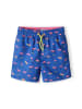 Minoti Badeshorts 23swim43 in royalblau