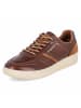 Bugatti Schnürhalbschuh in brown