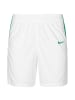 Nike Performance Trainingsshorts Team Basketball Stock in weiß / grün