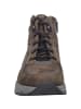 Josef Seibel Stiefelette Davie 50 in braun