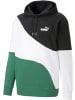 Puma Hoodie PUMA POWER Cat Hoodie TR in Multicolor