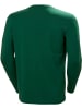 Helly Hansen Longsleeve "Logo Longsleeve" in Grün