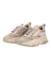 Steve Madden Sneaker POSSESSION-E Taupe