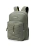 Dakine EDUCATED 30L BACKPACK MULLED BASIL in grün