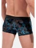 HOM Retro Short / Pant Fremont in Schwarz