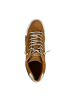 Cetti Sneaker high  in Beige