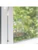 relaxdays 2 x Fenster-Vogelfutterhaus in Transparent