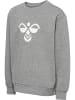 Hummel Sweatshirt Hmljr Reg Kinder in GREY MELANGE