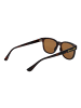 Barbour Herren Sonnenbrillen Quadrat Havanna