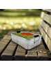Mr. & Mrs. Panda Lunch Box Blume Mohnblume Design ohne Spruch in Weiß