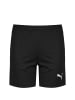 Puma Trainingsshorts TeamGOAL 23 Knit in schwarz