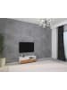 ebuy24 TV Tisch ArilaL 15 Weiß 115 x 40 cm