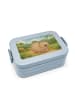 Mr. & Mrs. Panda MEPAL Bentobox Wombat Design ohne Spruch in Blau Pastell