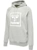 Hummel Hummel Kapuzenpullover Hmlisam Herren in GREY MELANGE