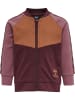 Hummel Hummel Sweatshirt Hmlpuk Unisex Kinder in WINDSOR WINE