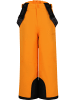 Zigzag Skihose Provo in 5102 Desert Sun