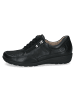 Caprice Schnürschuhe in black comb