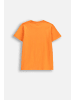 Coccodrillo T-shirt mit kurzen Ärmeln in orange