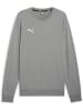 Puma Pullover "TeamGoal CasuaLongsleeve Crew Neck Sweat" in Grau