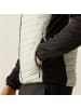 Regatta Hybrid Steppjacke Andreson Hybrid in Abbeystn/Blk