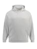 STHUGE Sweatshirt in grau melange