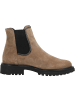 Paul Green Stiefeletten in antelope