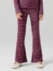 name it Hose in Grape Shake